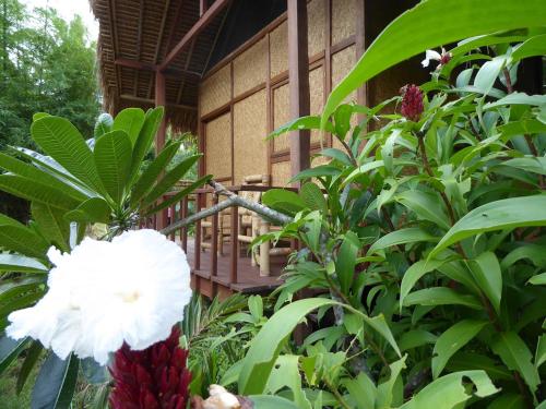 Exterior view, Shibui Garden Bungalows and Restaurant in Medana