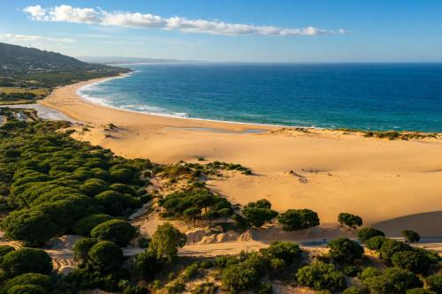 Kampaoh Paloma in Tarifa
