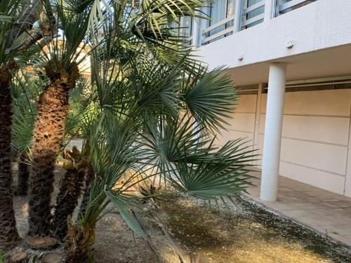 Appartement rénové avec parking - 4 pers. - FR-1-335-210