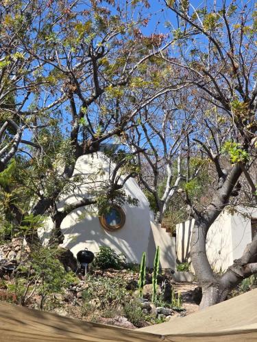 Domo Abitare Glamping in San Nicolás De Ibarra