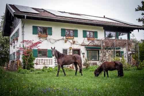 Ferienwohnungen Eisele "Die mit dem Pferd" in Bad Feilnbach, Deutschland