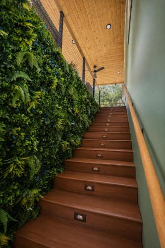Exterior view, Casa Bohemia - Boho Luxury Retreat near Winter Garden and Disney in Ocoee