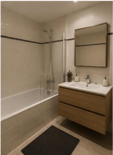 Appartement Hyper Gare Lille Flandres 4 personnes
