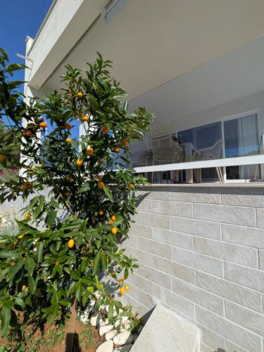 Apartment The Olive Tree in Dragove