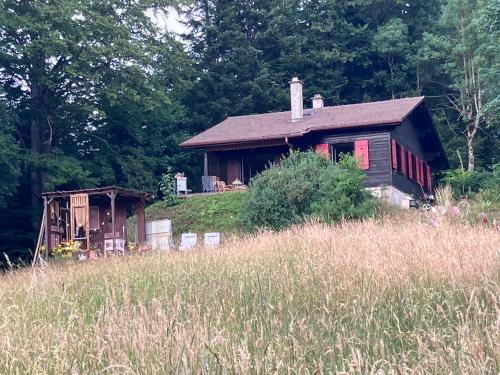 un ptit chalet gîte à louer La Chenalotte