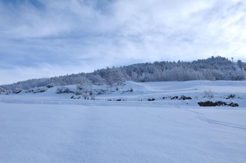 Hotel Eira - image 11