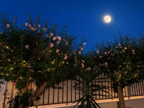 Have, B&B Carluccetta in Isola San Domino