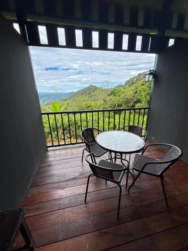 Happy Garden in Kinabalu National Park