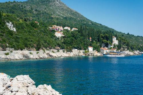  Apartment Nene in Trsteno