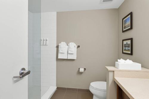 Comfort Inn & Suites Room Type - King Suite with Sofa Bed
