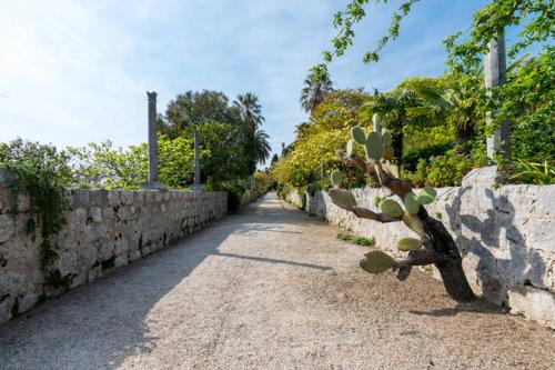  Apartment Nene in Trsteno