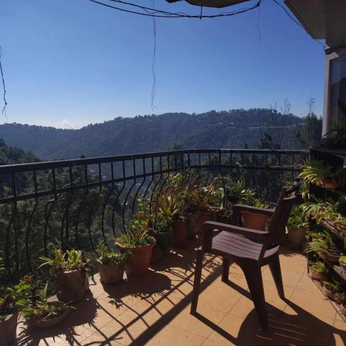 Cloudview Pines Cabin Resort Style Pvt Stay in Dagshai