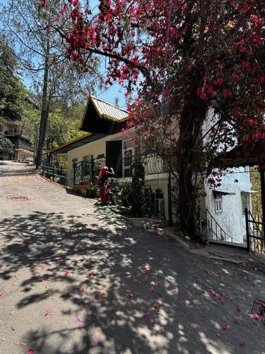 Cloudview Pines Cabin Resort Style Pvt Stay in Dagshai