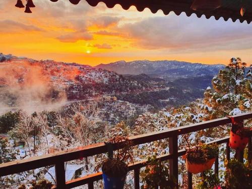 Cloudview Pines Cabin Resort Style Pvt Stay in Dagshai