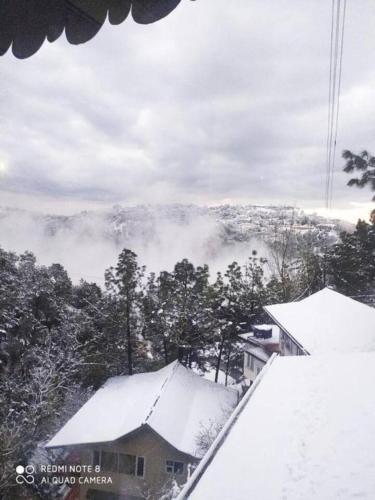 Cloudview Pines Cabin Resort Style Pvt Stay in Dagshai