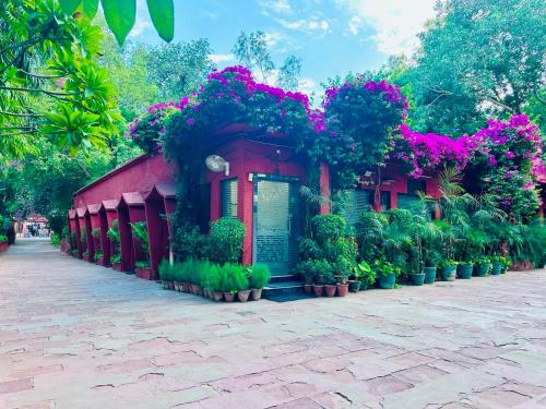 Hotel Sheela, 100m from Taj Mahal