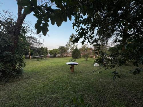Stay Nguluwe in Chelston