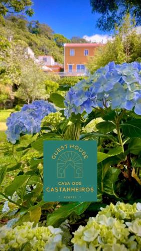 Casa dos Castanheiros Angra do Heroismo 3