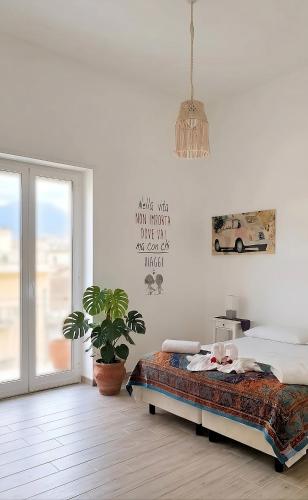 550 Special home