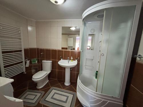 Manić SB - image 3
