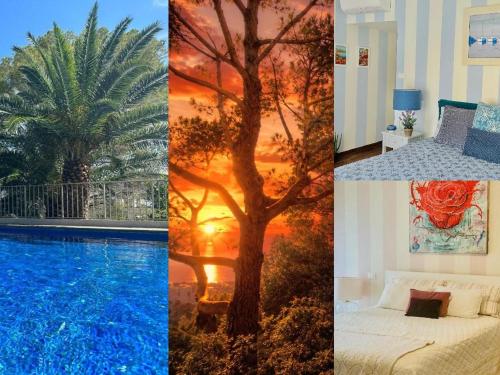 Luxury & Privacy - Pool, Parking, AC