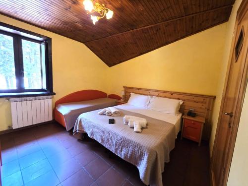 1 king bed, 1 twin bed