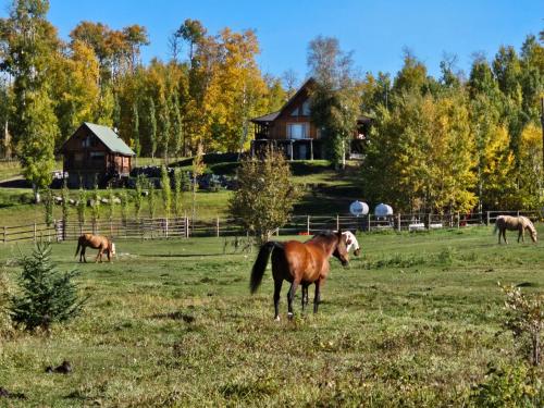 المنظر الخارجي, 7 Tails Guest Ranch in Rocky Mountain House
