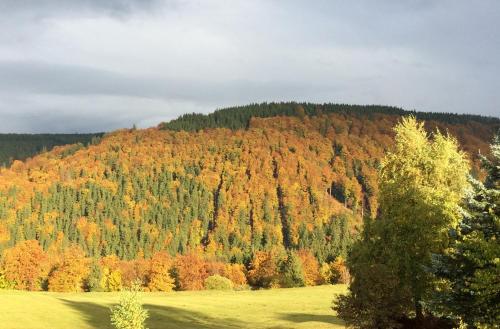 Ferienwohnungen Gehlberg