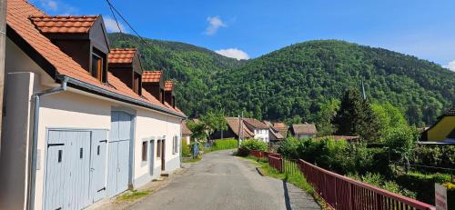 Maison familiale jusqu'à 8 personnes proche Ballon d'Alsace 68 (Maison familiale jusqu'a 8 personnes proche Ballon d'Alsace 68) in Sewen
