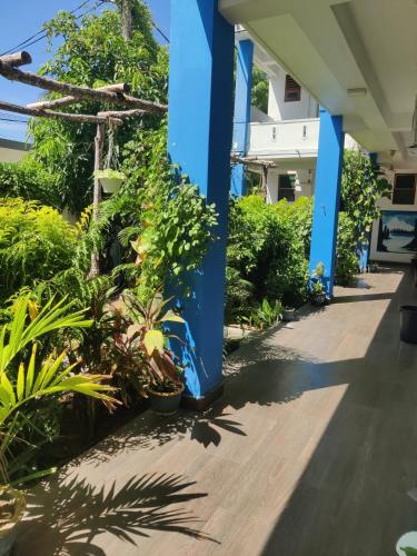 Canggu Surf Hotel - Arugam Bay in 阿魯加姆灣