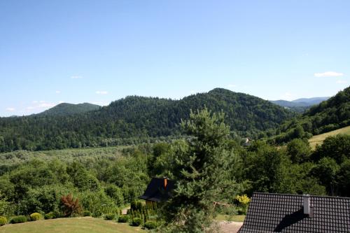 Lesny Dworek 1 in Wolkowyja