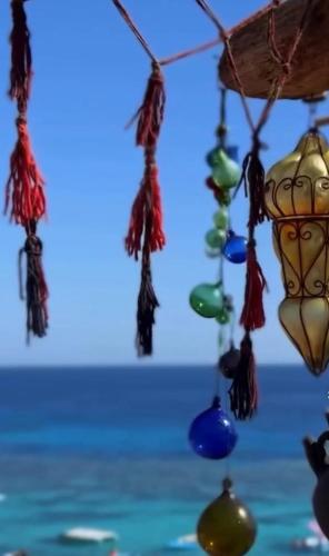Coral Private Harem — other in Domina Resort Entrance, Sharm El Sheikh Egypt, 8763603