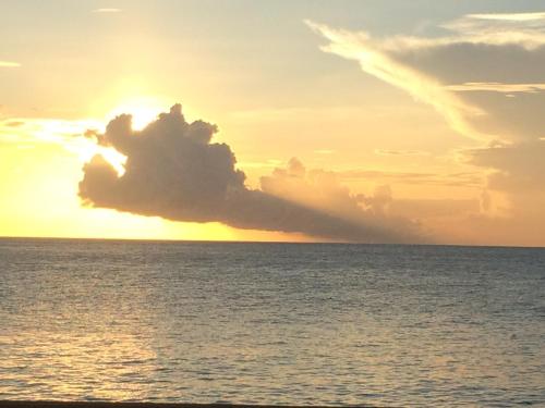 Beach, Cool Premier Apts. - Airport/SGU in St Georges