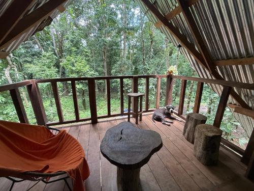 Entire Jungle Chalet Playa Ganadito in 奧薩半島