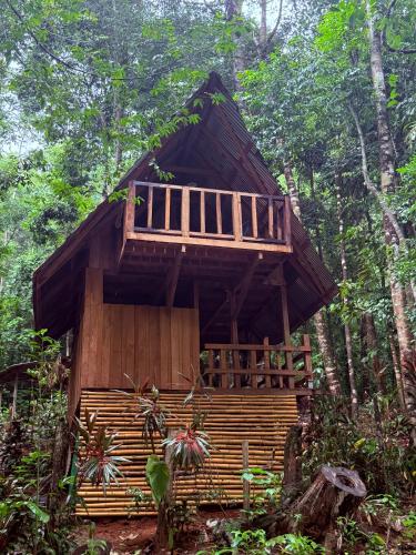 Entire Jungle Chalet Playa Ganadito in 奧薩半島