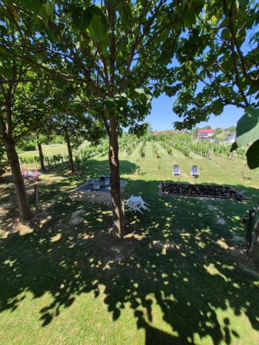 Orszag Apartmanhaz in ซาลาคารอส