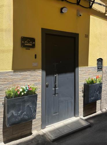 ARCUM suites 2