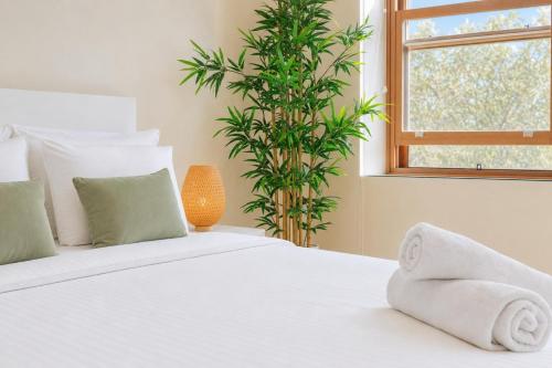 2 Bedroom Apartment Darlinghurst with Patio Access - image 4