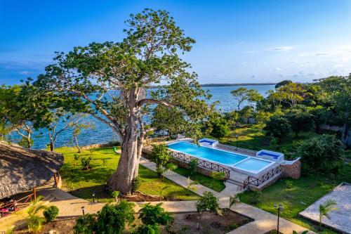 Peldbaseins, Kasa Pomboo Hotel, Shimoni in Shimoni