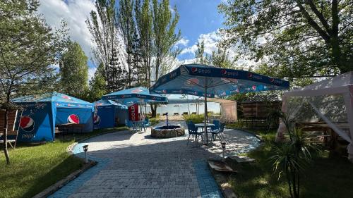 Voyage in Chkalovka