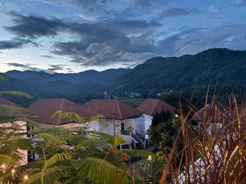 منظر, Wonderland Resort Chiangmai in هانج دونج