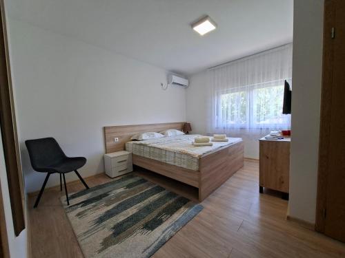 Apartmani Koprivica - image 2