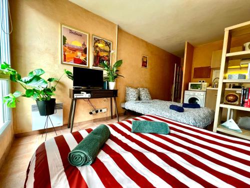 Escapade toulousaine, studio confort et bien situé