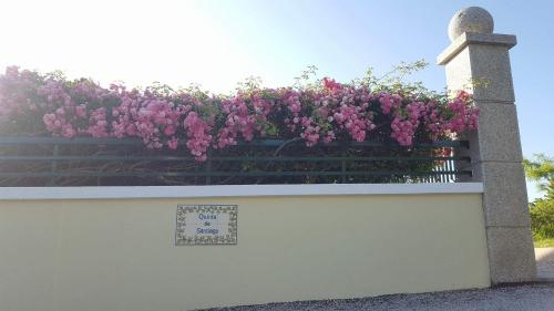  Solo Vivo in Oliveira do Hospital