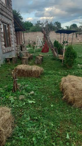 Pchak Guesthouse B&B in Dzoraget