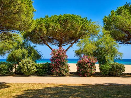Studio avec jardin front de mer