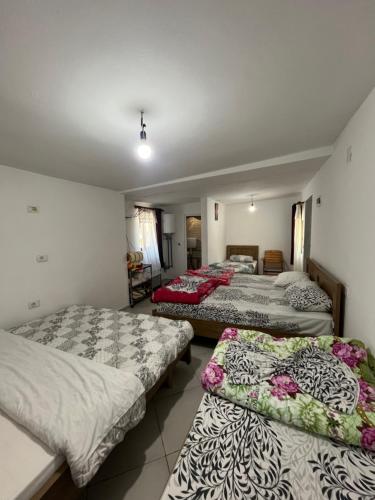 Hostel Sherifaj in Вальбона