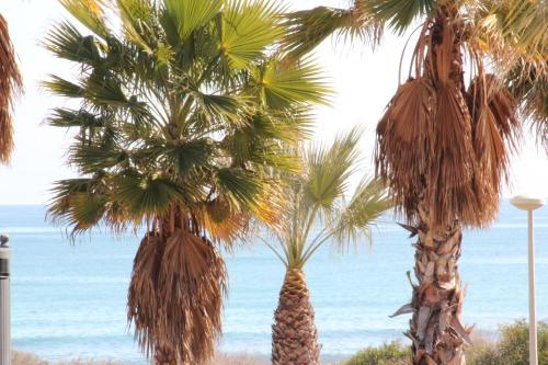 ibis budget Alicante - main image