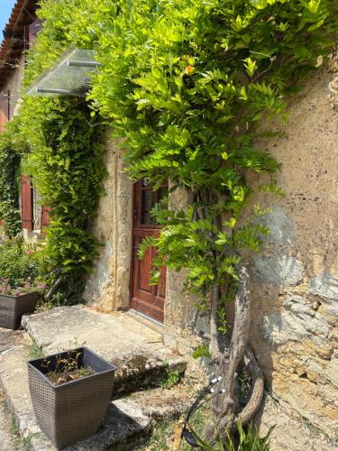 Le Mas d'Anjou - Chambres de charme avec jacuzzi in Vihiers