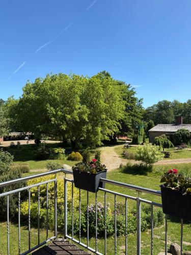 Holiday Home Seeadler Am Duemmer in Dümmer